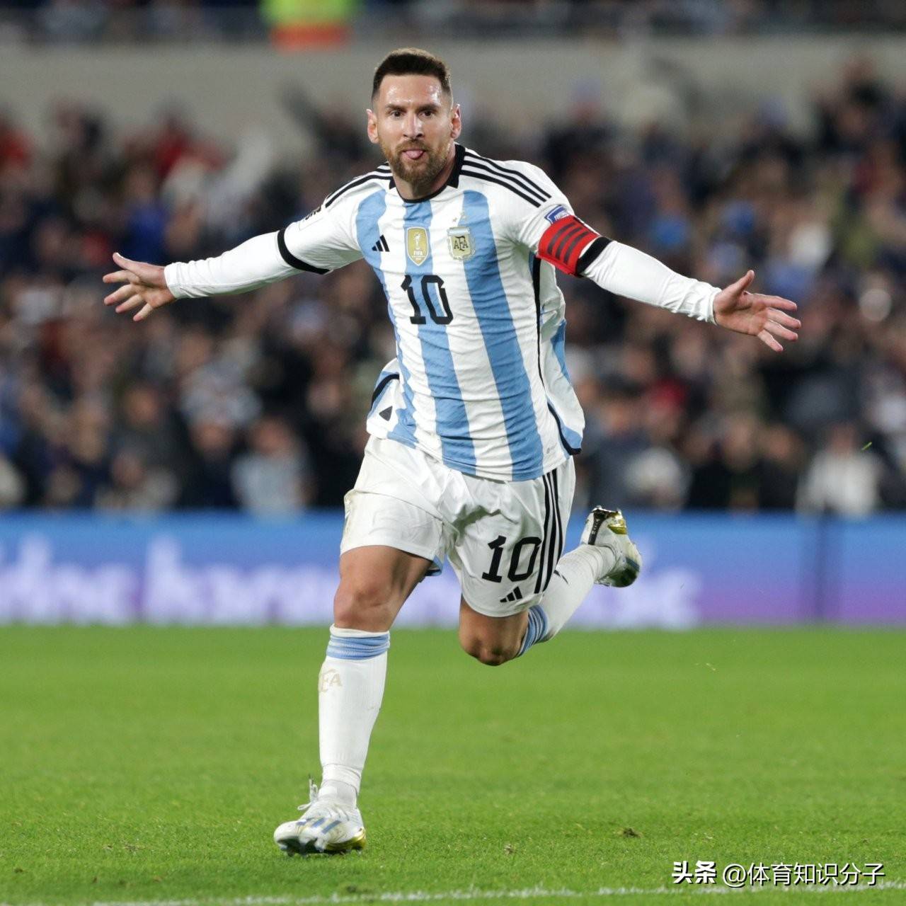 包含阿根廷队实力出众，实现巨大突破的词条