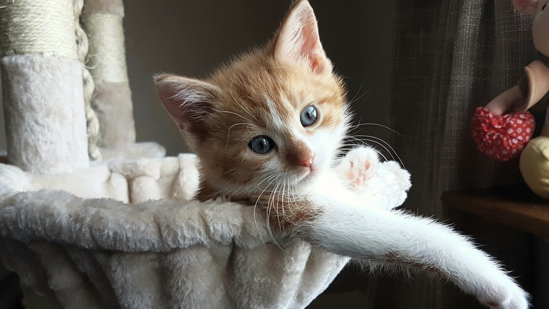 莫兰特如鹰击长空，魔术难逃节奏掌控—一场关于唯一性的篮球哲学