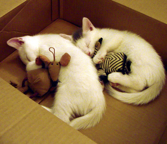 亚特兰大稳稳拿下马赛，久保建英扛起全队，一场战术与意志的胜利