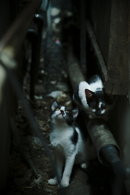 铁血与优雅的对决，英格兰强压毕尔巴鄂，莫德里奇关键节点连续得分改写战局