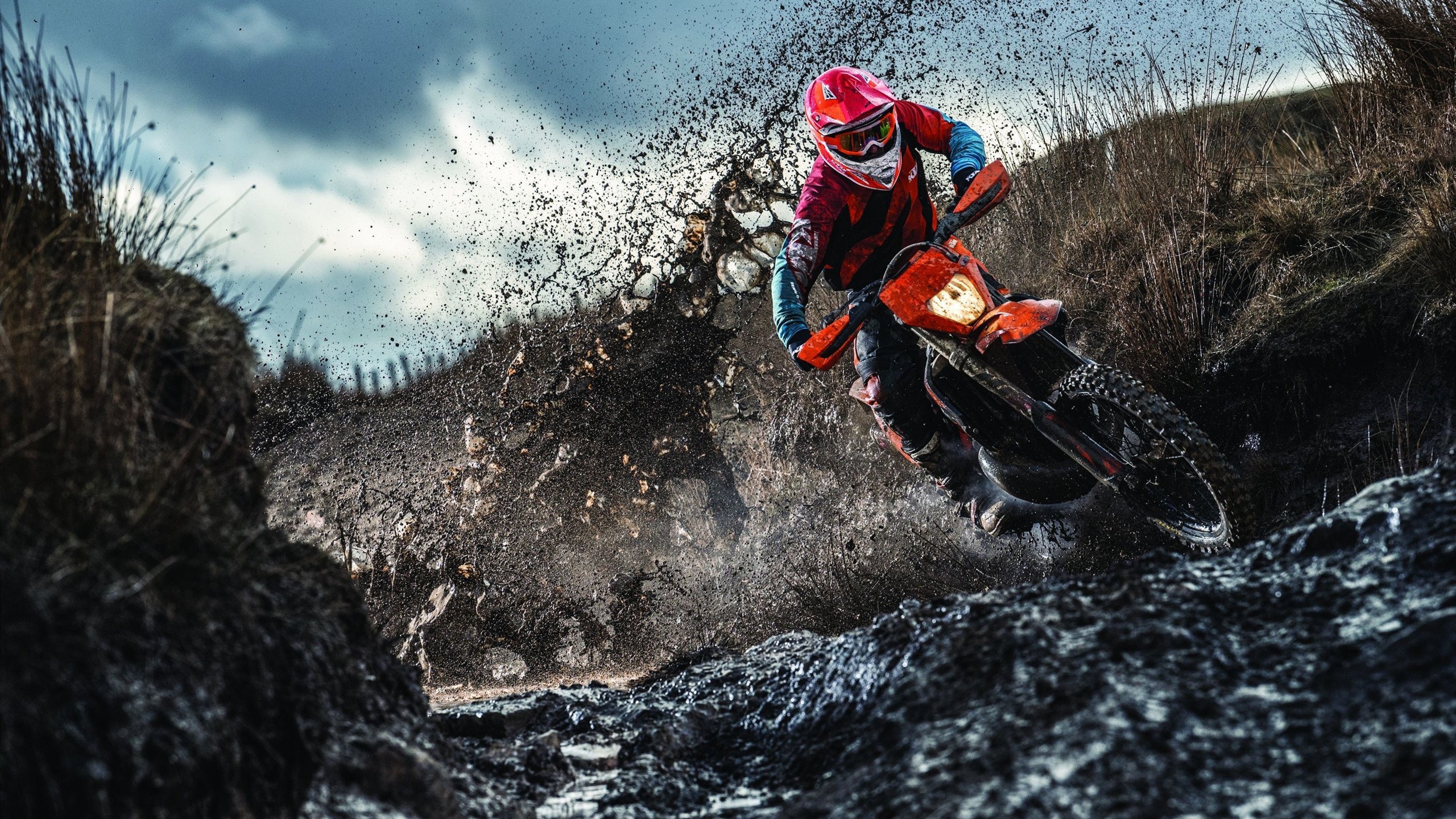 阿劳霍,加勒比海风笛手,在洪都拉斯与苏格兰的棋盘上独舞